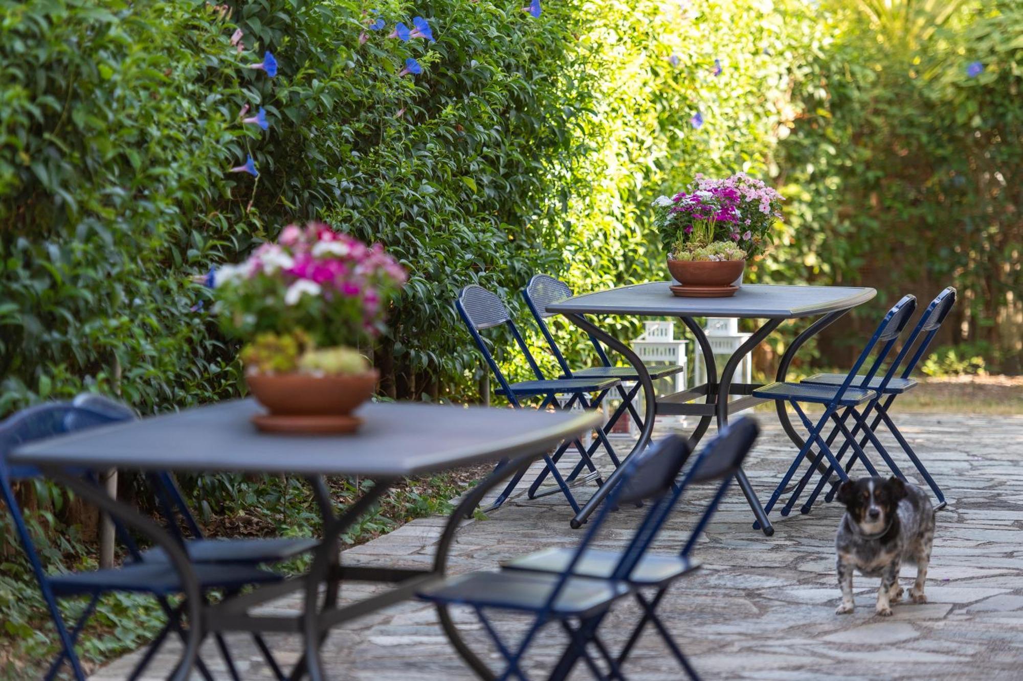 Amarylis Apartments Elaionas  エクステリア 写真