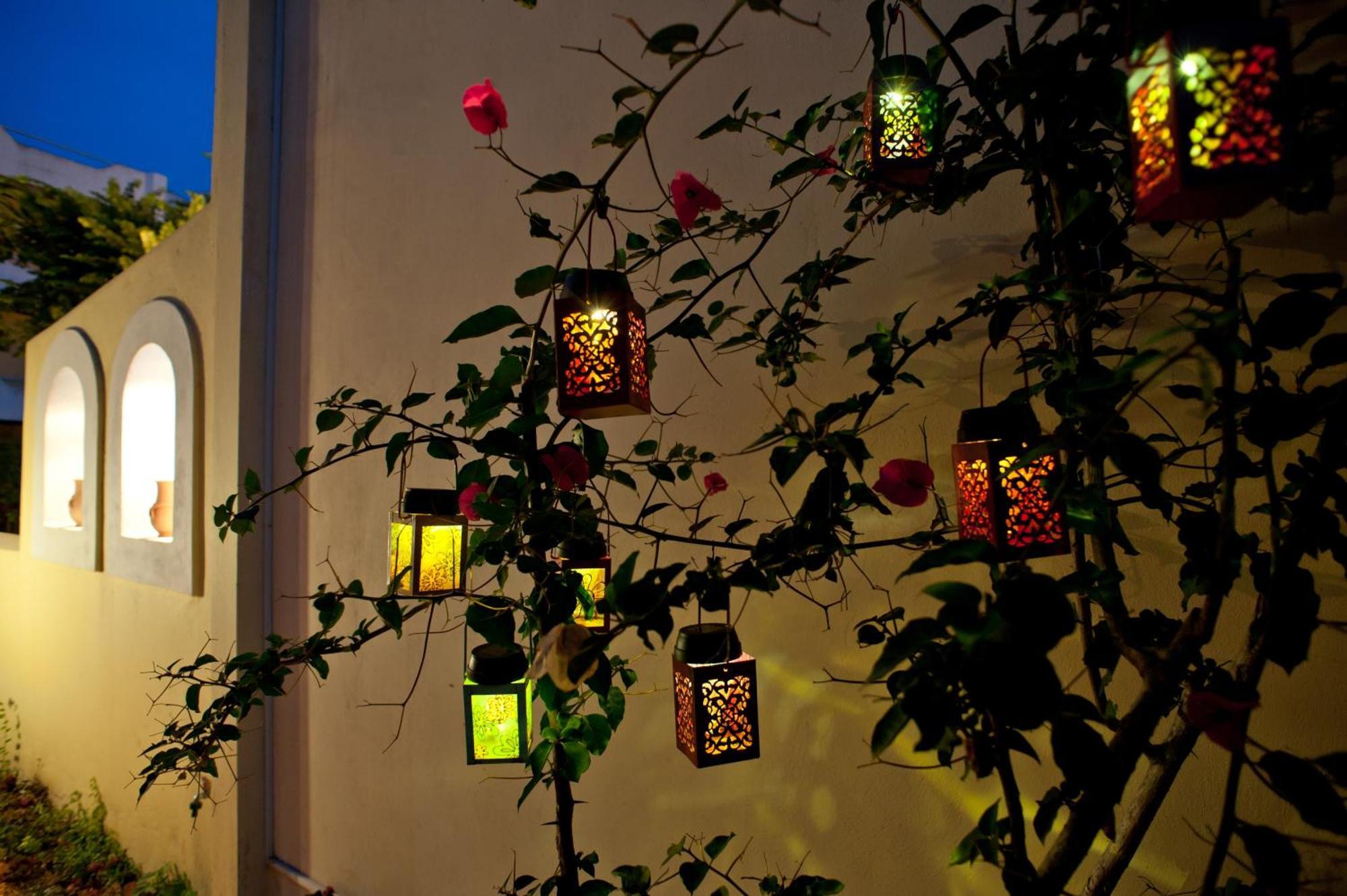 Amarylis Apartments Elaionas  部屋 写真